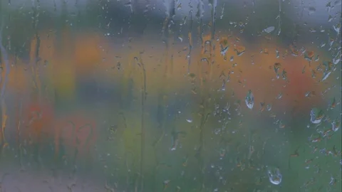 Drops on the glass. Autumn. Stock Footage 80968147