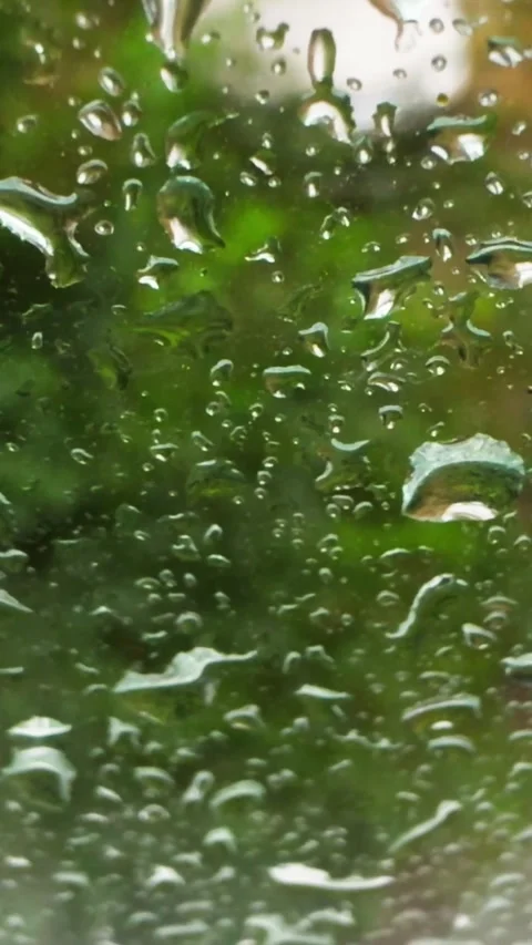 Drops on glass during rain, close-up. Vertical video. Video stock 279464455