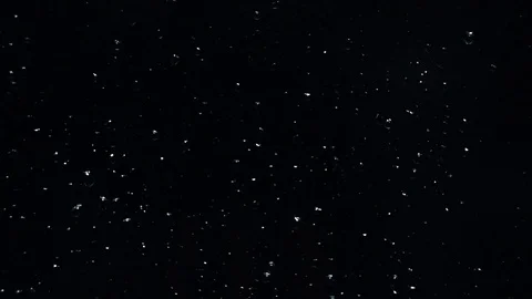 Drops on the glass Video stock 77691134