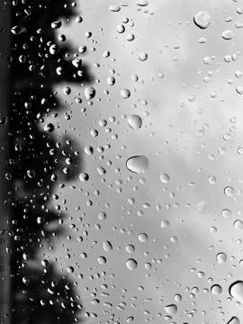 Drops on the glass. Stock Photos