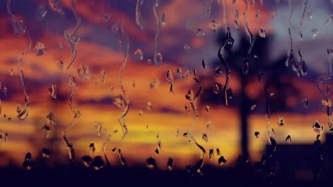 Drops on glass on a sunset background. Video stock 321533213