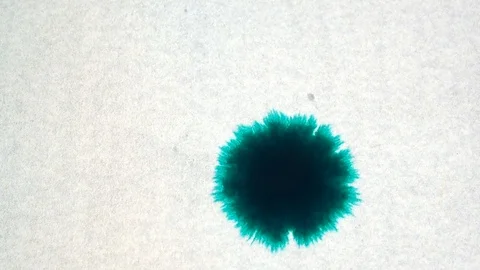Drops of green ink to spread and fill on white background. Ink on paper with Stock Footage 88609547