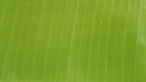 Drops HD 库存影片 10920535