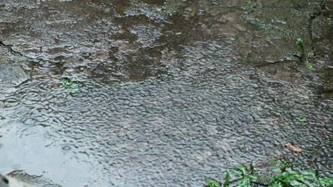 Drops of heavy rain drip onto the concrete surface Stock Footage 210226213