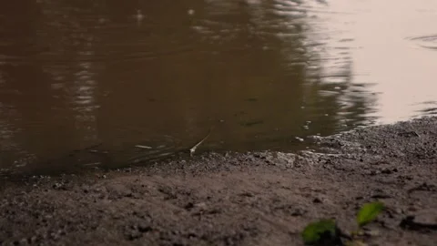 Drops hit puddles in the rain Stock Footage 132778642