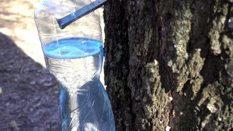 Drops of juice drip into a bottle close-up Stock Footage 88554520