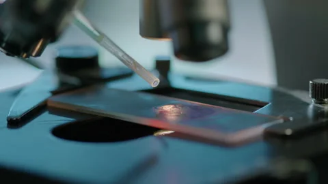Drops of Liquid Substrate Added to Cell Specimen under Microscope 動画素材 280837210
