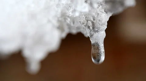 Drops from melting snow Stock Footage 1068459