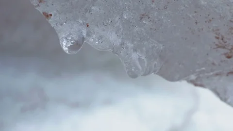 Drops From Melting Snow Stock Footage 74652931