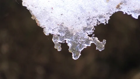 Drops from Melting Snow in Spring Stock Footage 85767259