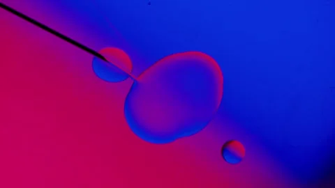 Drops from a needle on a blue-red gradient background. 스톡 동영상 303058573