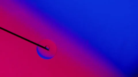 Drops from a needle on a blue-red gradient background. Vídeo Stock 303058584