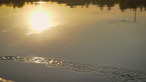 Drops from the paddle fall in slow motion onto the surface of the lake. Stock Footage 204903037