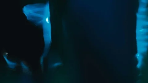 Drops of paint flow down Stock Footage 81700152