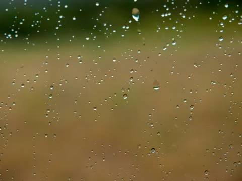 Drops Stock Photos