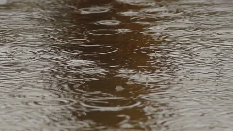 Drops in a puddle Stock Footage 96199443