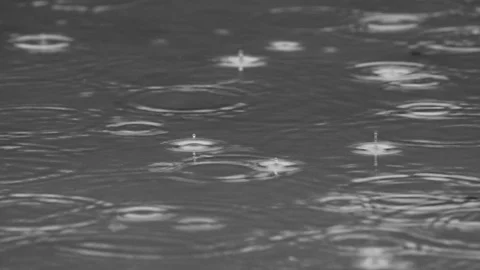 Drops in a puddle Stock Footage 96199472