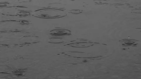 Drops in a puddle Stock Footage 96199494