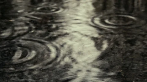 Drops in a puddle on the road Video stock 76117714