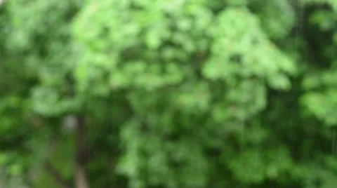 Drops of rain on the  blurred background Stock-Footage 64066659