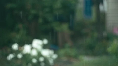 Drops on rain of blurred background Stock Footage 94301501