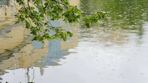 Drops of rain fall into the city pond. Video stock 76967419