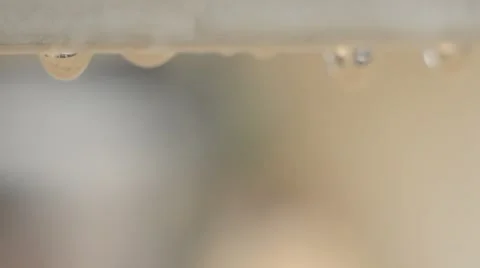 Drops of rain that fall down in normal speed Video stock 48599850