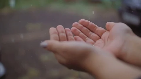 Drops of rain fall on the extended female palms. Stock Footage 78847818