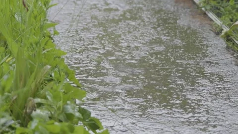 Drops of rain fall on the sidewalk. Raindrops falling on the slow motion road Video stock 261220795