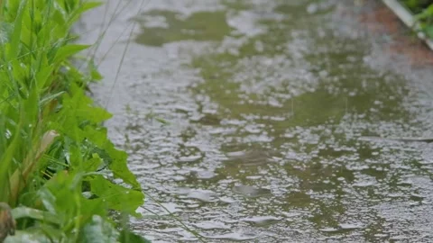 Drops of rain fall on the sidewalk. Raindrops falling on the slow motion road Video stock 261220798