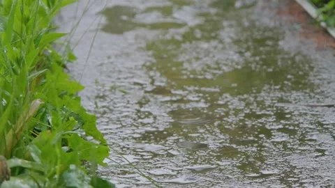 Drops of rain fall on the sidewalk. Raindrops falling on the slow motion road Stock Footage 262770472