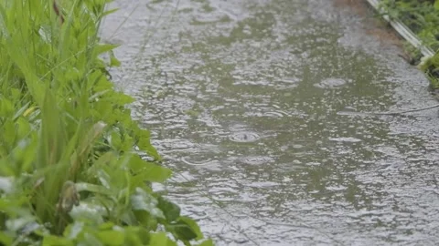 Drops of rain fall on the sidewalk. Raindrops falling on the slow motion road Stock Footage 263729995