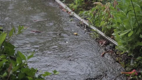 Drops of rain fall on the sidewalk. Raindrops falling on the slow motion road Stock Footage 264540906