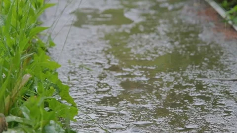 Drops of rain fall on the sidewalk. Raindrops falling on the slow motion road Stock Footage 264949326