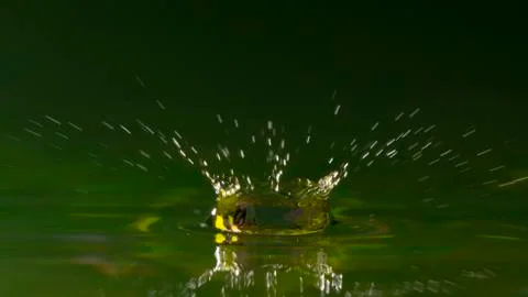 Drops of rain fall into the water, selective focus close-up Stock Photos