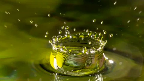 Drops of rain fall into the water, selective focus close-up Stock Photos