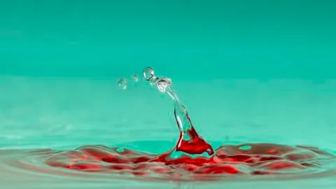 Drops of rain fall into the water, selective focus close-up 스톡 사진