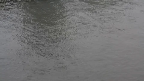Drops of a rain fall on a water smooth surface Video stock 82598638