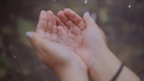 Drops of rain fall into the women's hands. I Stock Footage 78699689
