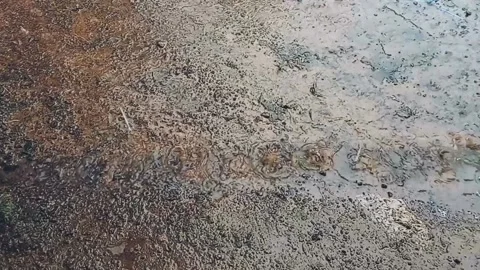 Drops of rain falling on the ground. Stock Footage 212514931