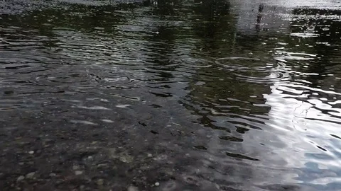 Drops of rain falling into a puddle in slow motion. Rainy day Stock Footage 92525964