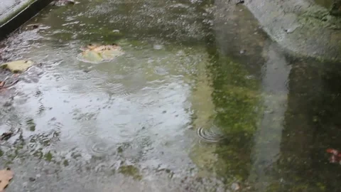 Drops of rain falling in puddles in a rainy day Stock Footage 236941295