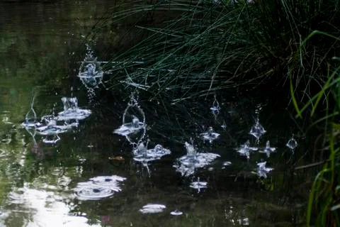 Drops of rain falling on a river Stock Photos