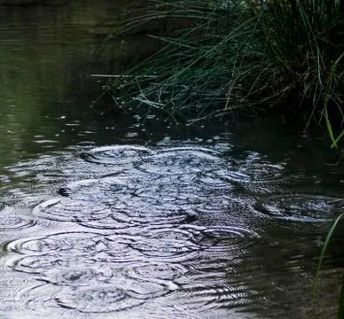 Drops of rain falling on a river Stock Photos