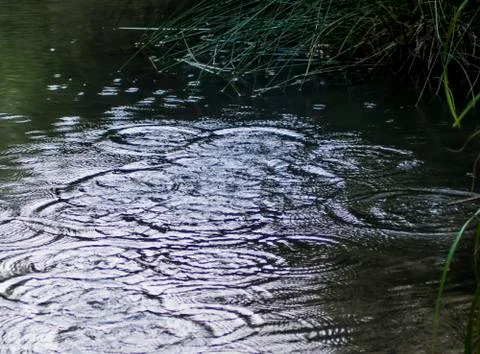 Drops of rain falling on a river Stock Photos