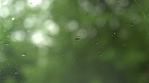Drops of rain flow down the glass. It's raining Stock Footage 90504682