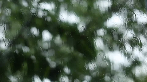 Drops of rain flow down the window against the background of leaves on the trees Stock Footage 133822923