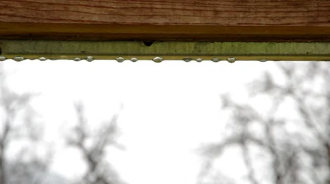 Drops of rain Stock Footage 33067474