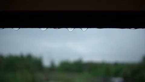 Drops of rain Stock Footage 108236850
