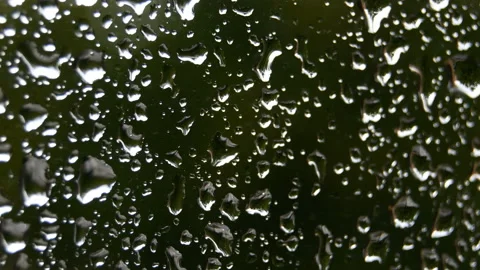 Drops of rain on a glass 動画素材 133487040